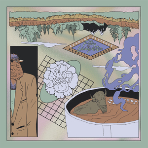 天川夏凪酒井圆软体多少钱一瓶
