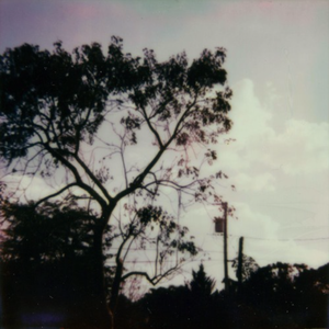 天川夏凪酒井圆软体多少钱一瓶
