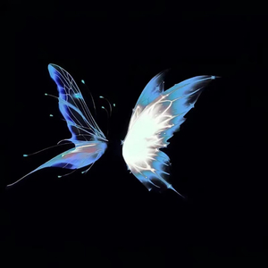 天川夏凪酒井圆软体多少钱一瓶
