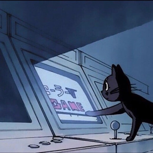 天川夏凪酒井圆软体多少钱一瓶
