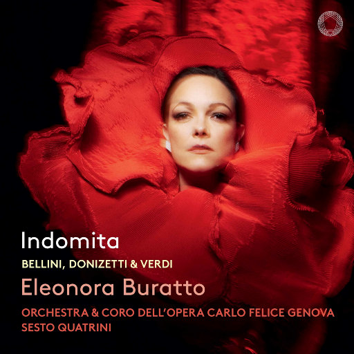 天川夏凪酒井圆软体多少钱一瓶
